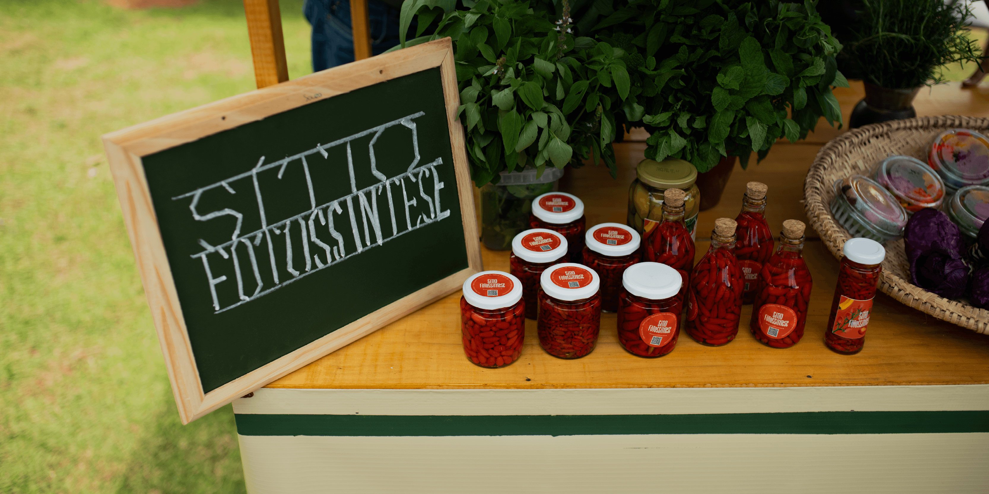 Vale_da_Serra_da_Moeda-15